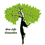 New Life Connection
